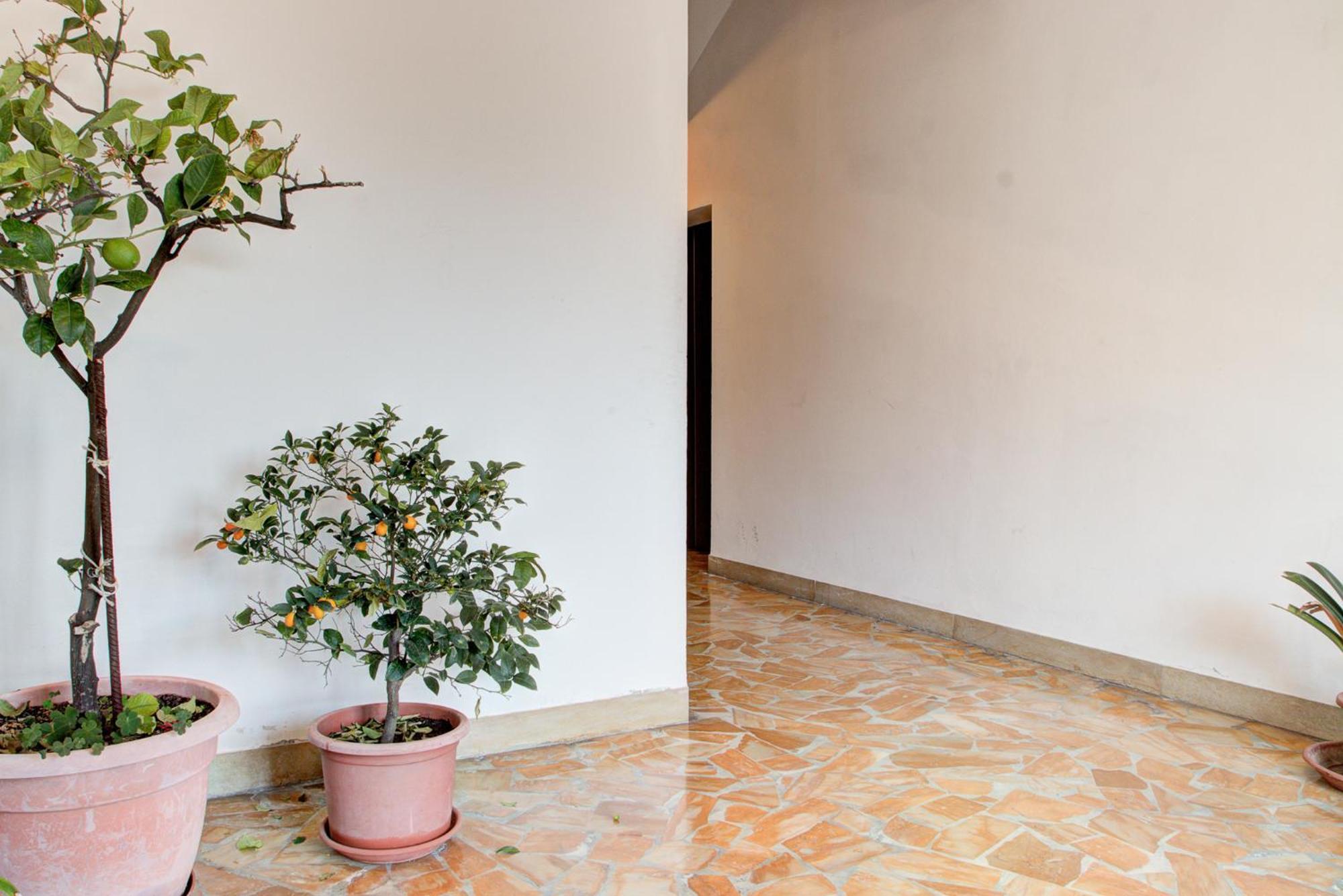 Casa Emilia Apartment Волтера Екстериор снимка